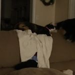 Julia Caudill - @caudilljulia - Instagram
