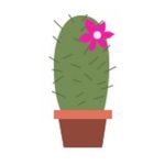 Julia Cervantes - @cactusflowerfabrics - Instagram