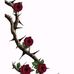 Julia Cervantes - Facebook