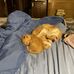 Julia Chatman - Facebook