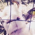 Julia Childers - @explore.the.unknown_01 - Instagram