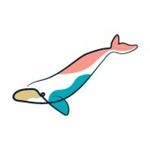 Jᴜʟɪᴀ Cʜᴏᴄᴏʟᴀᴛᴇꜱ 🍫🐳 - @julia.chocolates - Instagram