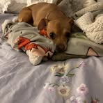 Julia Christopher - Facebook