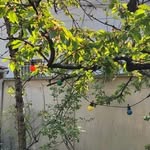 Julie - @julie.ciclo - Instagram