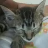Julia Cipriano - @juliacipriano5 - TikTok