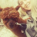 Julia Clancy - @juliaclancystcgenglish - Instagram