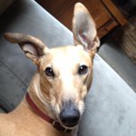 Julie Clouse - @masterjulz - Instagram