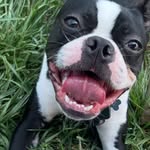 Julie Clouse McVeigh - @julie_clouse_mcveigh - Instagram