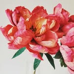 Julia Coffey - @chloepaperfloristry - Instagram