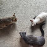 Julie Colby Misty Prince - @julie.colby.misty.prince - Instagram