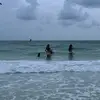 julia - @julialcomeau - TikTok