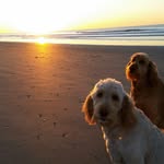 Julie Comstock - @julzfulz - Instagram