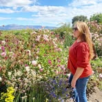 Julie Concannon - Facebook