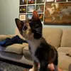 juliacorleysmith - @juliacorleysmith - TikTok