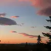 Julia Accorsini - @julia.accorsini - TikTok