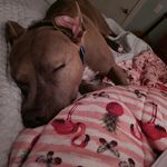 Julia Covert - @spidercuddlepuddle - Instagram