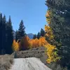 Julian Covert65 - @juliancovert1963 - TikTok