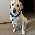Julie Covert - @julz3boys - Instagram