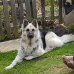 Julia Craddock - @juliacraddock64 - Instagram