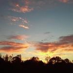 Julie Crone - @julie.crone.77 - Instagram