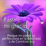 Julia Cuevas - Facebook