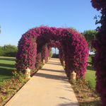 Julie Curley Riley - @julie.c.riley.9 - Instagram