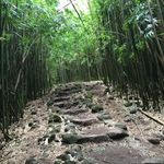 Julie Damron - @juliedamron626 - Instagram