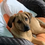 Julie Damron - @julie.damron.77 - Instagram