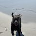 Julie Damron - Facebook