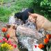 Julie Danforth - Facebook