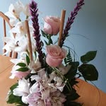 Julia Darby - @julia.darby.73 - Instagram