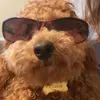 julia - @juliadasilva_ - TikTok