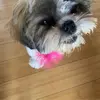juliainesdavalos - @juliainesdavalos - TikTok
