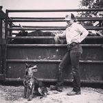 Julia Davis | Bull Rider - @juliadavis13 - Instagram