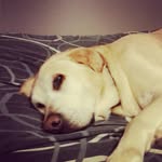 julia davison - @juliadavison2007 - Instagram