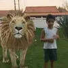 Julia - @juliadecamposcruz - TikTok