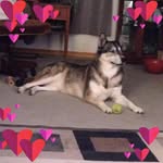 Julia Dempsey - @dempsey7203 - Instagram