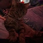 Julia - @julia_denning18 - Instagram