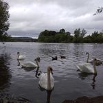 Julie Denning - @denning7894 - Instagram