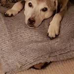 Julie Devlin-Sharpe - @juliedevlinsharpe - Instagram