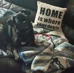 Julie Dinsmore - Facebook