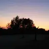 Julia - @juliadirkss - TikTok