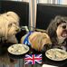 Julia Dobbs - Facebook