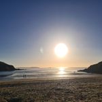 Julia Dodd - @doddjulia - Instagram