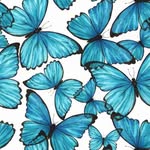 Julia Dominick - @julia.dominick.73 - Instagram
