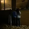 julia - @juliadominick04 - TikTok