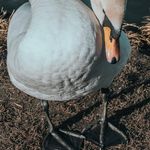 Julia Donohue - @plorgepunaab631 - Instagram