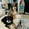 Julianna - @juliannadorman - TikTok