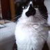 Julie Duffield - Facebook