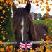Julie Lockett-duffield - Facebook